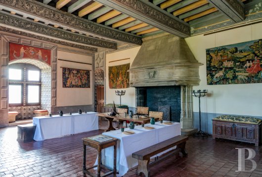 chateaux for sale France rhones alps   - 9