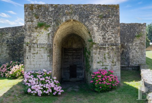 chateaux for sale France rhones alps   - 29