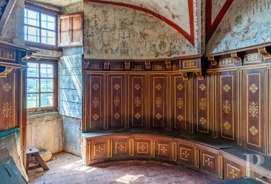chateaux for sale France rhones alps   - 15