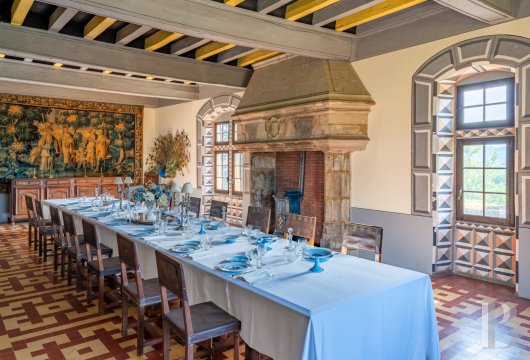 chateaux for sale France rhones alps   - 11