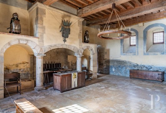 chateaux for sale France rhones alps   - 7