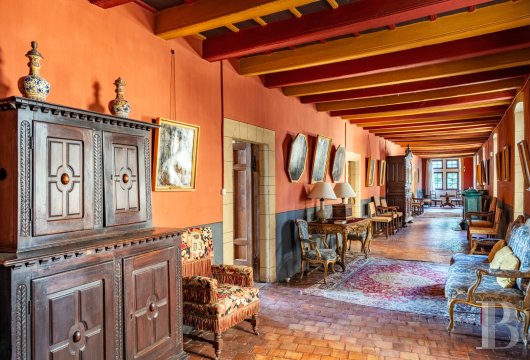 chateaux for sale France rhones alps   - 14