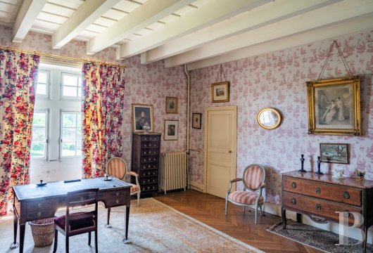 chateaux for sale France rhones alps   - 23