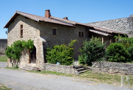 chateaux for sale France rhones alps   - 28