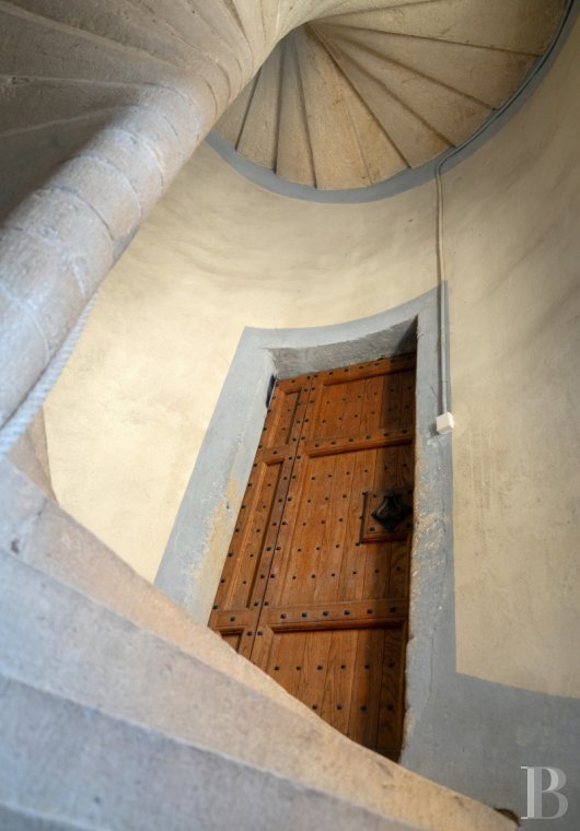 chateaux for sale France rhones alps   - 16