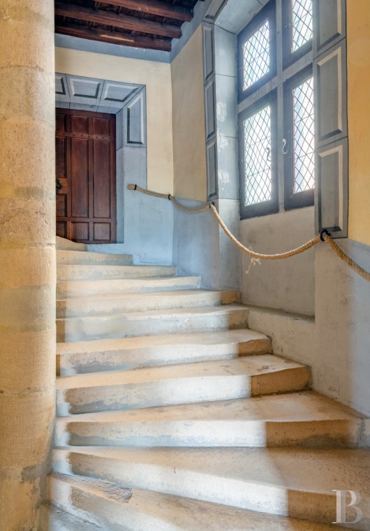 chateaux for sale France rhones alps   - 12