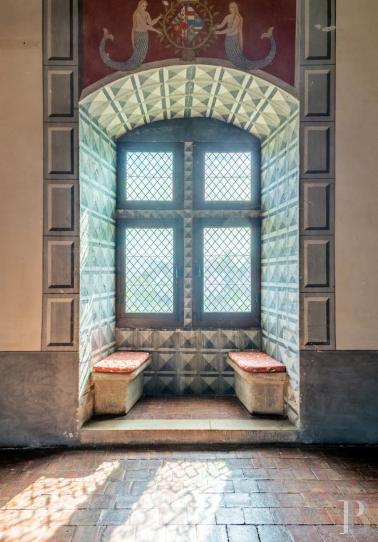 chateaux for sale France rhones alps   - 10