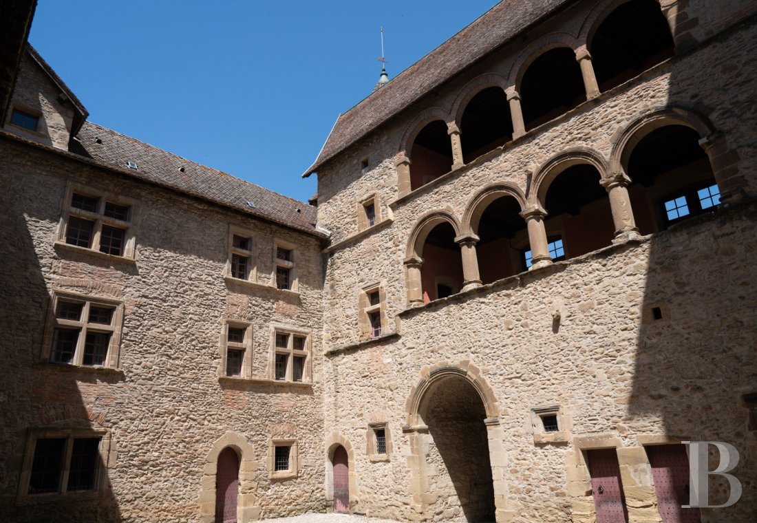 chateaux for sale France rhones alps   - 4