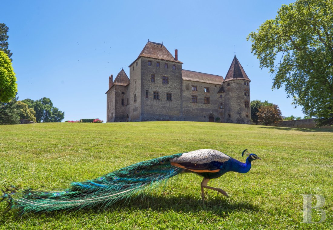 chateaux for sale France rhones alps   - 2