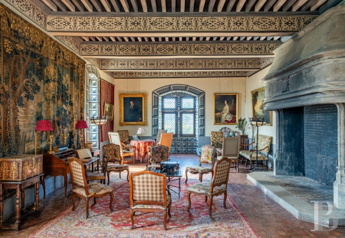 chateaux for sale France rhones alps   - 8