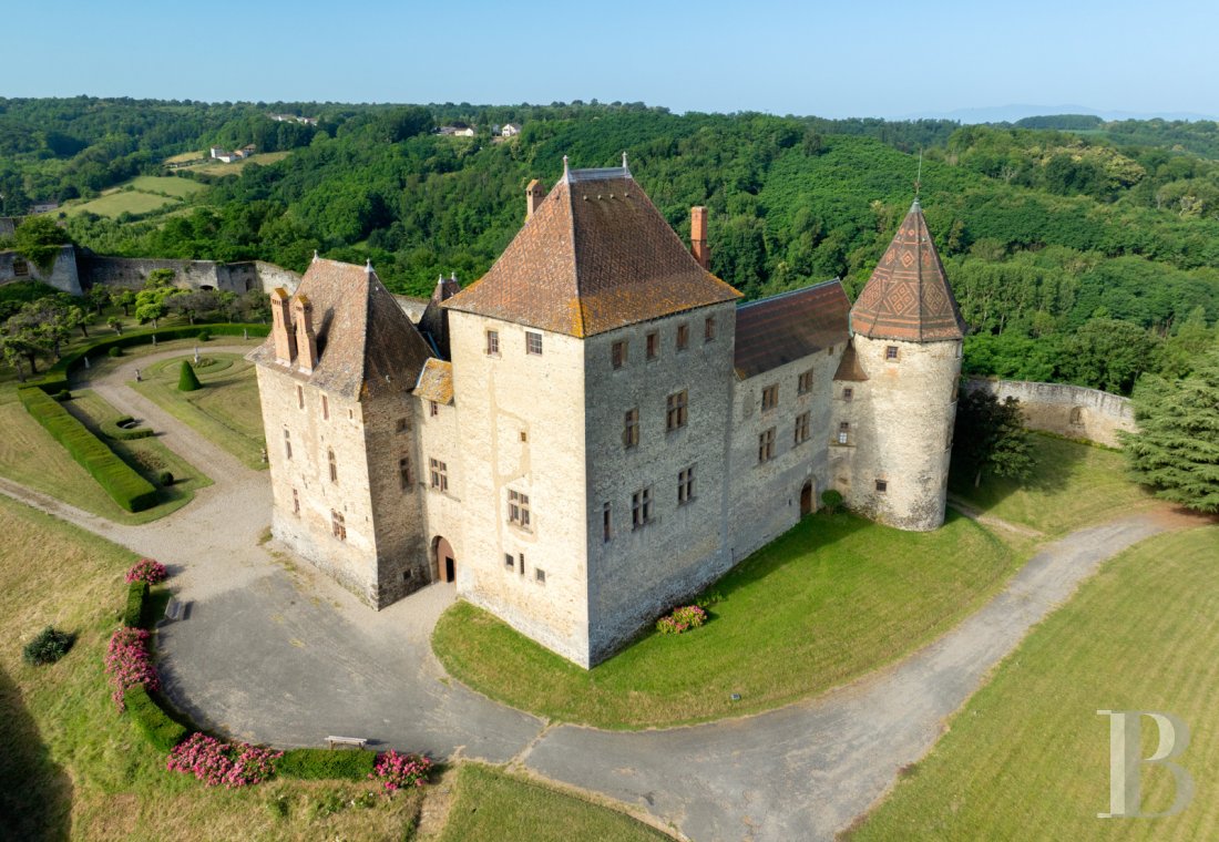 chateaux for sale France rhones alps   - 3