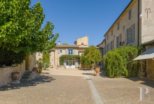 Dans l’Hérault, au nord de Pézenas, séjourner au cœur d’un domaine oléicole et viticole de vingt hectares - photo  n°23