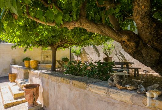 Dans l’Hérault, au nord de Pézenas, séjourner au cœur d’un domaine oléicole et viticole de vingt hectares - photo  n°20