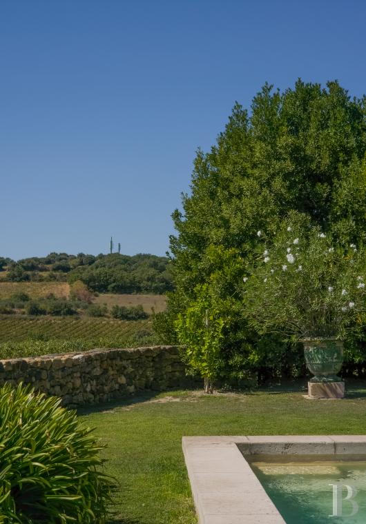 Dans l’Hérault, au nord de Pézenas, séjourner au cœur d’un domaine oléicole et viticole de vingt hectares - photo  n°22