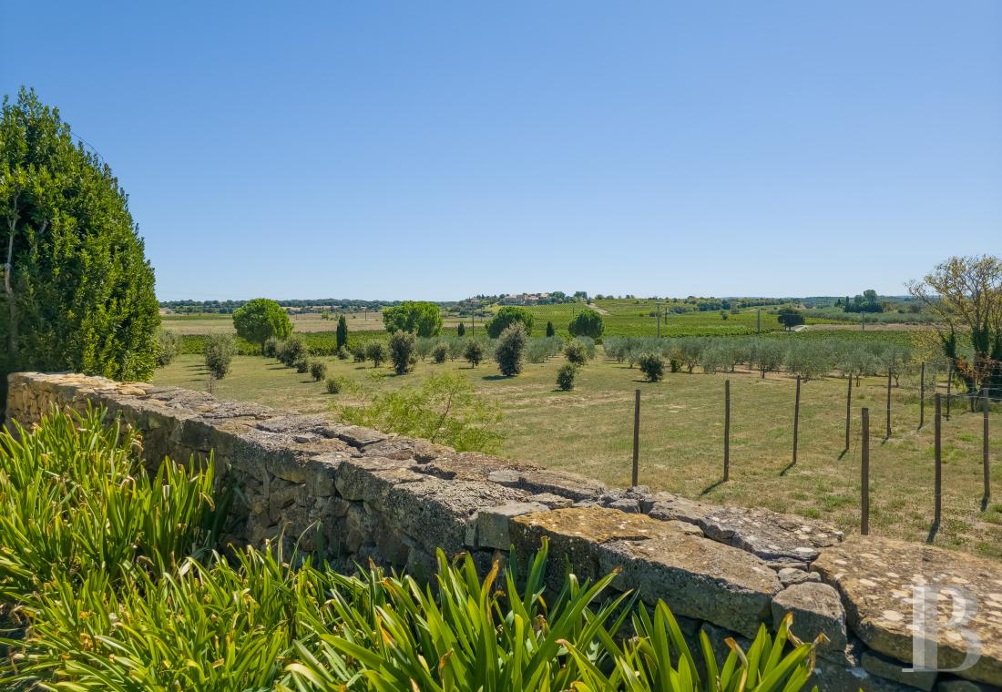 Dans l’Hérault, au nord de Pézenas, séjourner au cœur d’un domaine oléicole et viticole de vingt hectares - photo  n°21