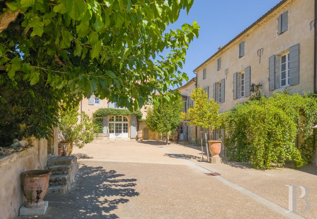 Dans l’Hérault, au nord de Pézenas, séjourner au cœur d’un domaine oléicole et viticole de vingt hectares - photo  n°2