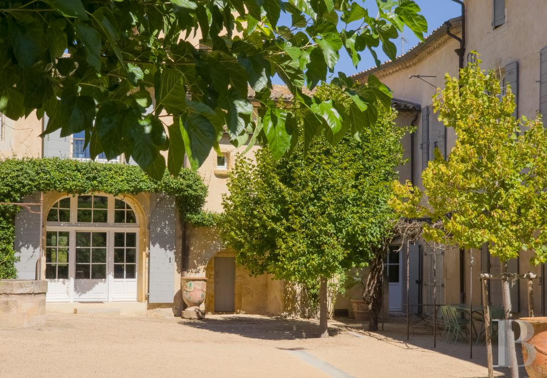 Dans l’Hérault, au nord de Pézenas, séjourner au cœur d’un domaine oléicole et viticole de vingt hectares - photo  n°17