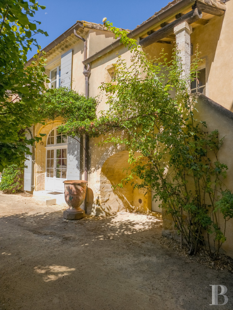 Dans l’Hérault, au nord de Pézenas, séjourner au cœur d’un domaine oléicole et viticole de vingt hectares - photo  n°19