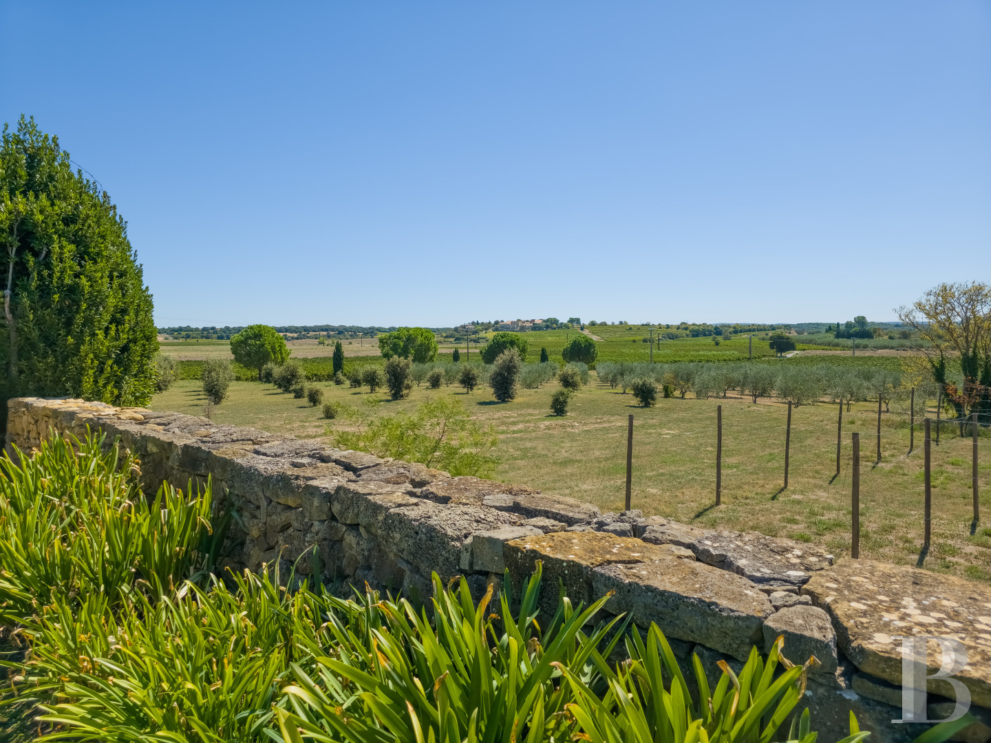 Dans l’Hérault, au nord de Pézenas, séjourner au cœur d’un domaine oléicole et viticole de vingt hectares - photo  n°21