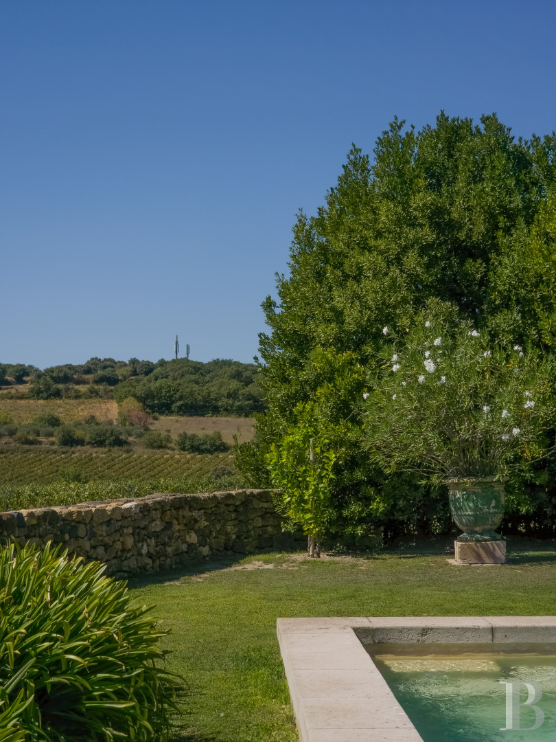 Dans l’Hérault, au nord de Pézenas, séjourner au cœur d’un domaine oléicole et viticole de vingt hectares - photo  n°22