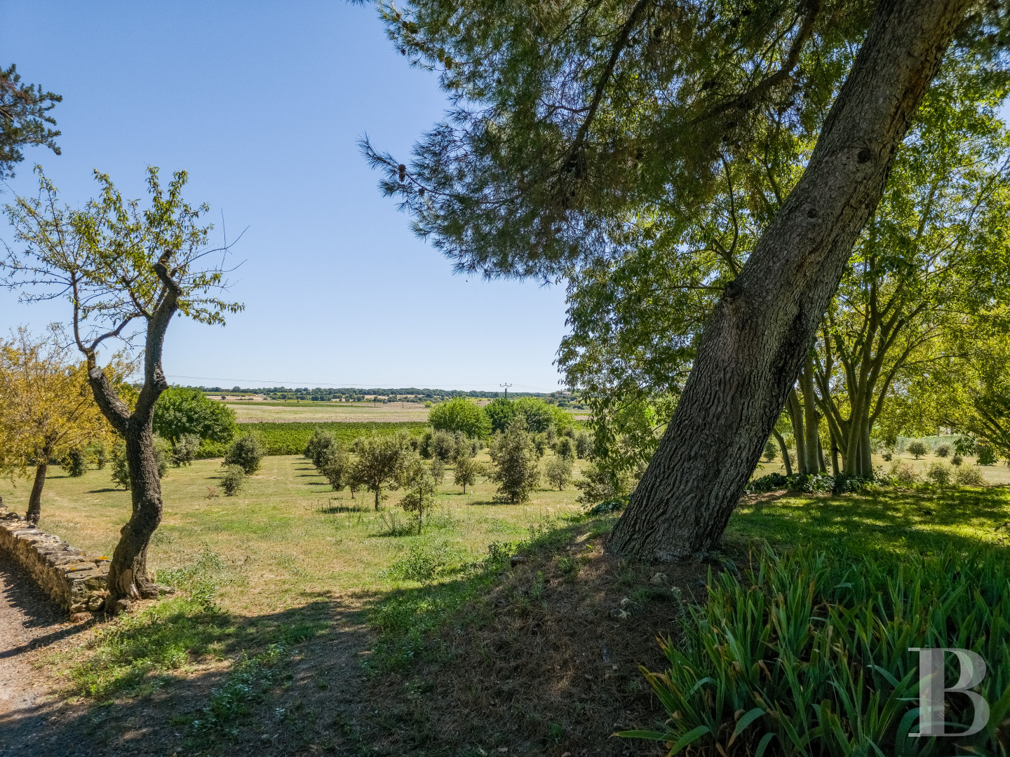 Dans l’Hérault, au nord de Pézenas, séjourner au cœur d’un domaine oléicole et viticole de vingt hectares - photo  n°24