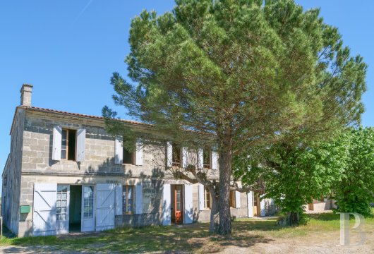 property for sale France aquitaine   - 2