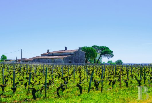 aquitaine - A typical Gironde-style building, to renovate, with five hectares of vineyards, in the western part of the Saint-Emilion winegrowing region 