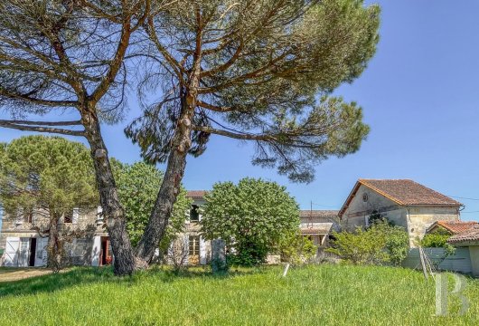 property for sale France aquitaine   - 4