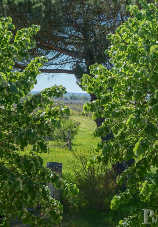 property for sale France aquitaine   - 12