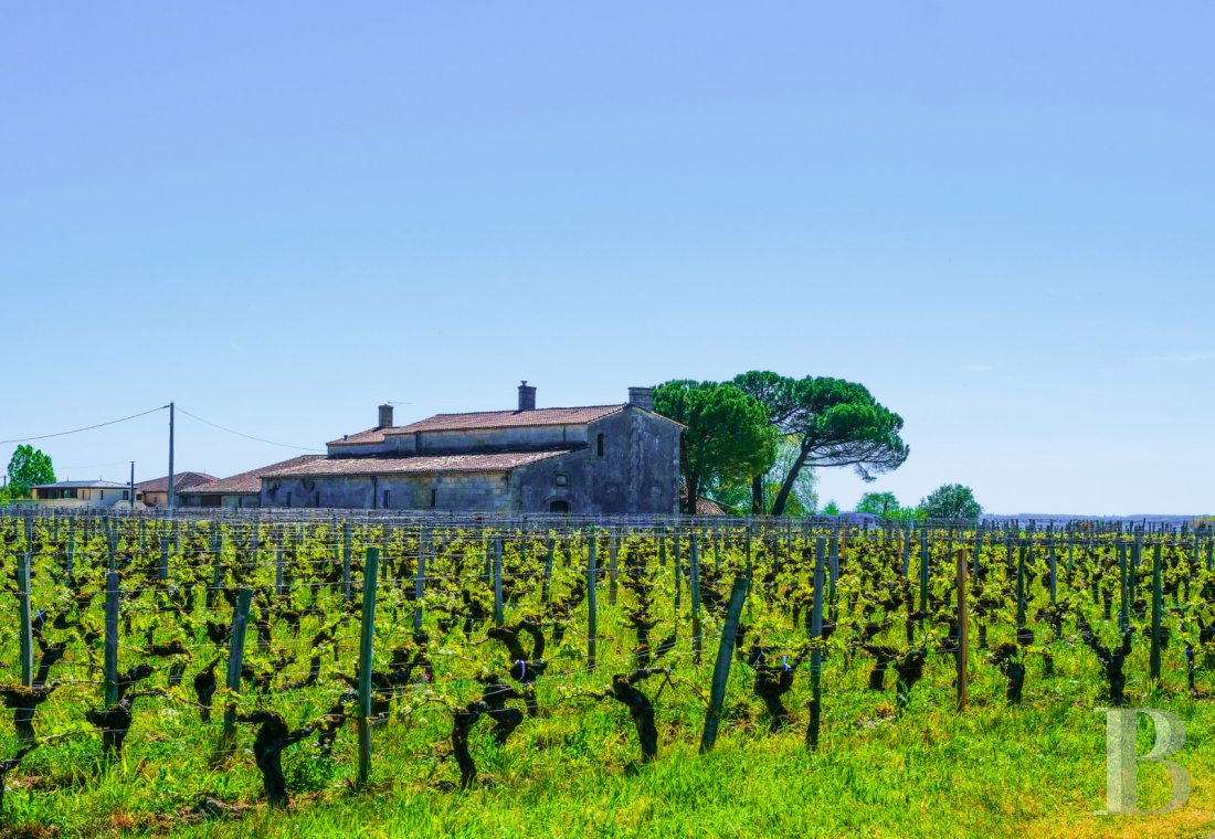 property for sale France aquitaine   - 1