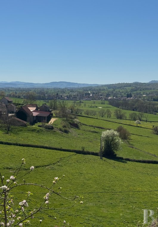 maisons de caractere a vendre bourgogne   - 17