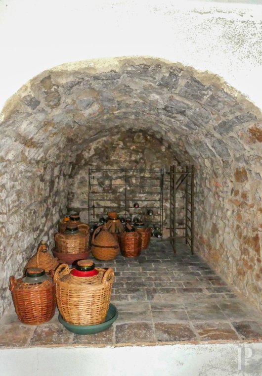 maisons de caractere a vendre paca   - 14