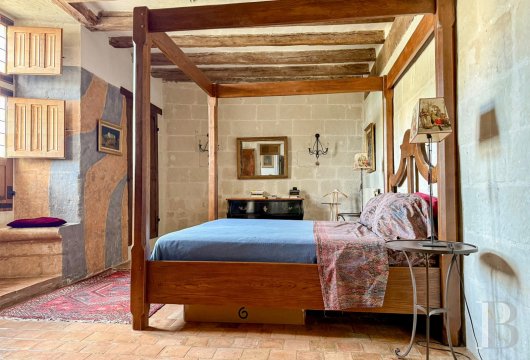 France mansions for sale pays de loire   - 8