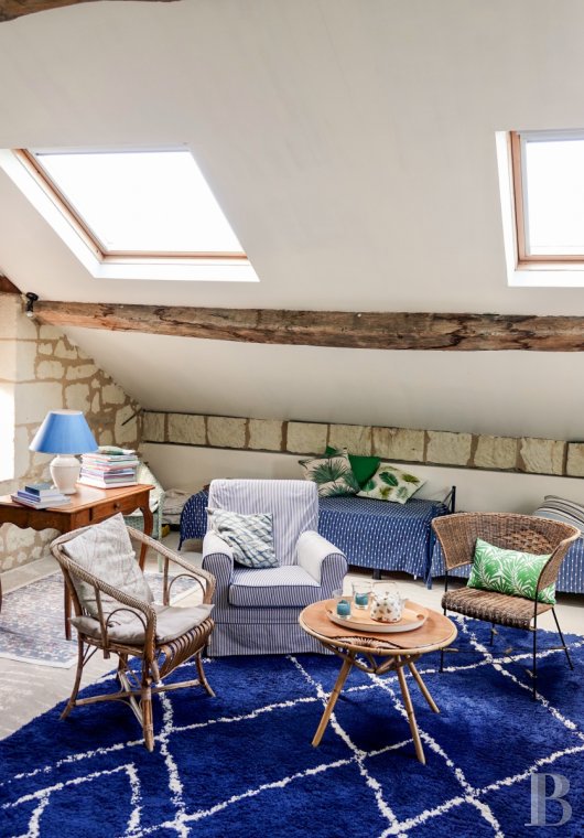 France mansions for sale pays de loire   - 15