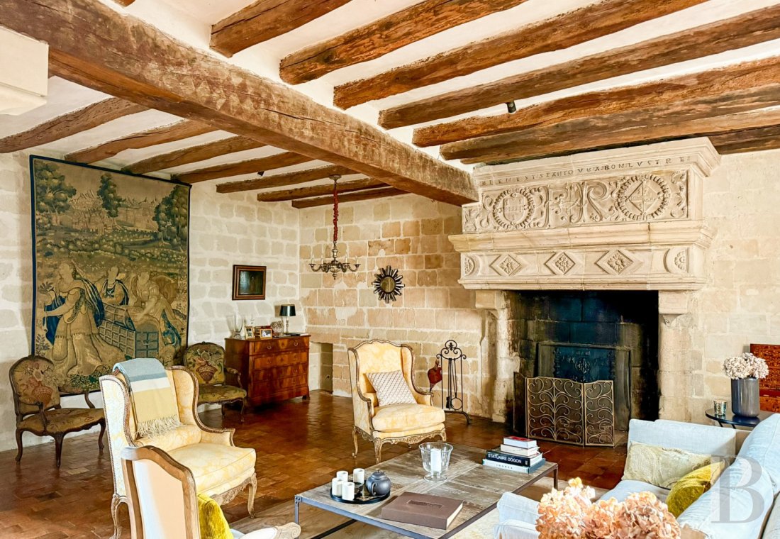 France mansions for sale pays de loire   - 5