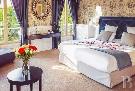 chateaux a vendre ile de france   - 6