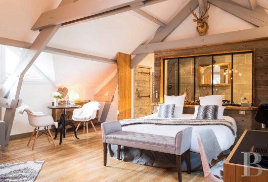 chateaux a vendre ile de france   - 10