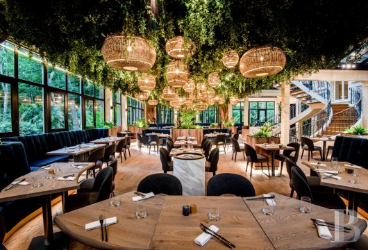 chateaux a vendre ile de france   - 4