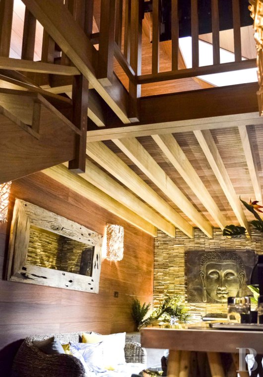 chateaux a vendre ile de france   - 9