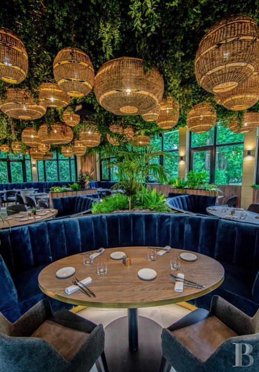 chateaux a vendre ile de france   - 5