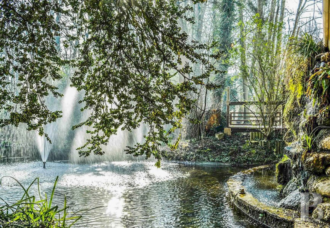 chateaux a vendre ile de france   - 7