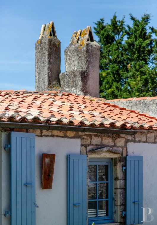 character properties France poitou charentes   - 3