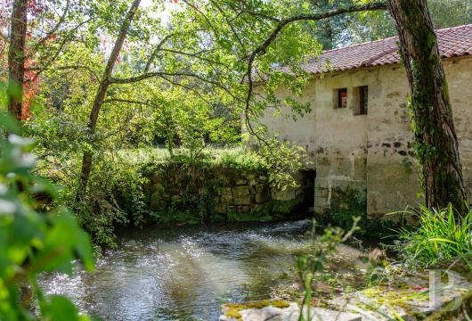 residences and character houses france aquitaine   - 14