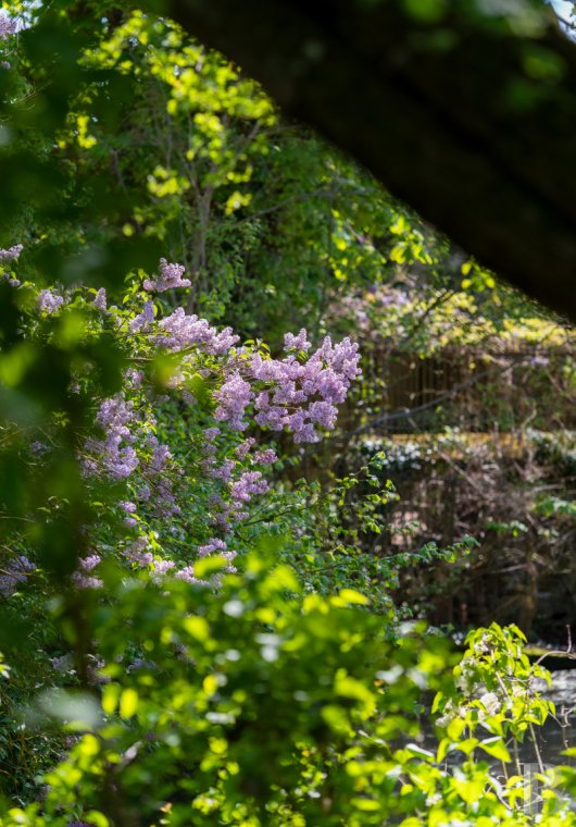 character properties France ile de france   - 10