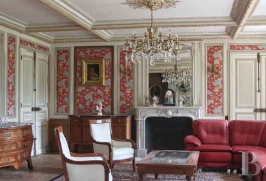 chateaux for sale France burgundy   - 9