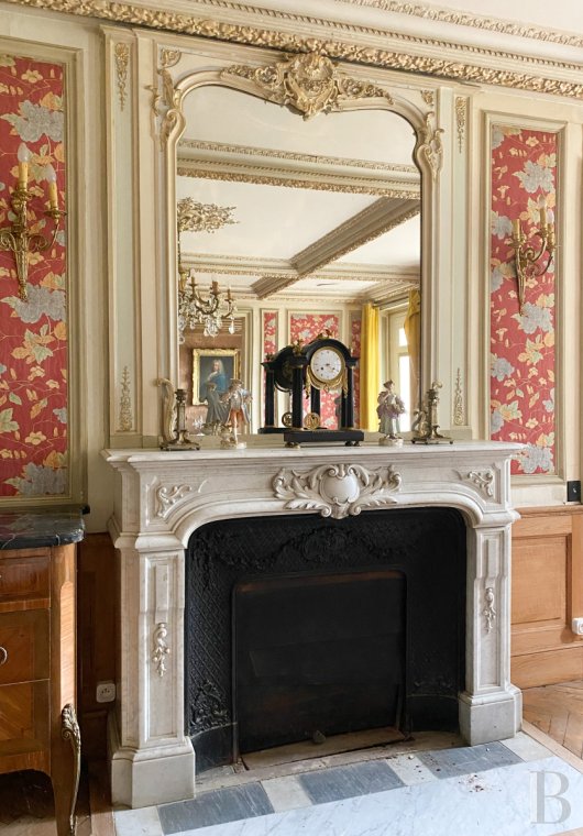 chateaux for sale France burgundy   - 10