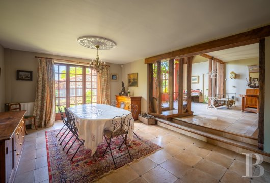 character properties France limousin   - 9