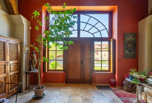 character properties France limousin   - 7