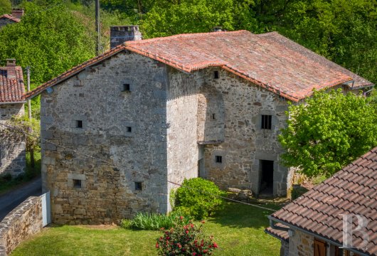 character properties France limousin   - 13