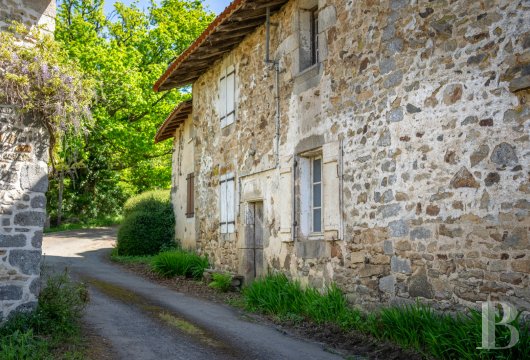 character properties France limousin   - 16